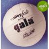 Gala Míč volley GALA STUDENT 5033S