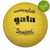 Gala Míč volley GALA STANDART 5073S