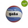 Gala Míč volley GALA TRAINING 5561S